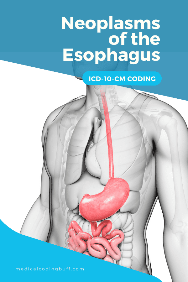 Pinterest image that shows neoplasms of the esophagus in ICD-10-CM 