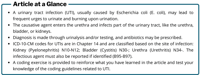 coding for urinary tract infections